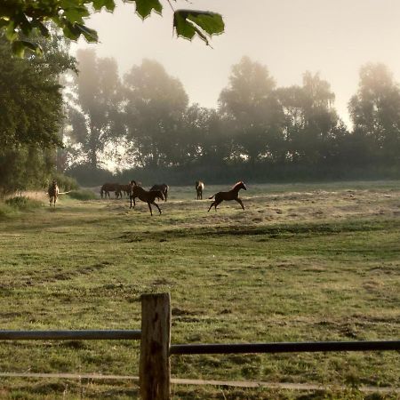 Kleenes Haffhus Ueckermunde Bagian luar foto